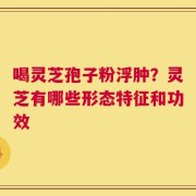 喝灵芝孢子粉浮肿？灵芝有哪些形态特征和功效