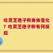 吃灵芝孢子粉身体变化？吃灵芝孢子粉有何反应