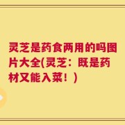 灵芝是药食两用的吗图片大全(灵芝：既是药材又能入菜！)