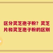 区分灵芝孢子粉？灵芝片和灵芝孢子粉的区别