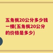 五角枫20公分多少钱一棵(五角枫20公分的价格是多少)