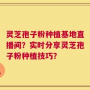 灵芝孢子粉种植基地直播间？实时分享灵芝孢子粉种植技巧？