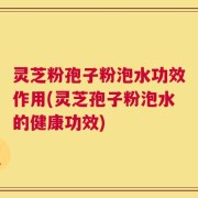灵芝粉孢子粉泡水功效作用(灵芝孢子粉泡水的健康功效)