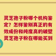 灵芝孢子粉哪个机构鉴定？怎样鉴别真正的有效成份和纯度高的破壁灵芝孢子粉在哪能买到