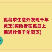 孤岛求生意外发现千年灵芝(探险者在孤岛上偶遇珍贵千年灵芝)