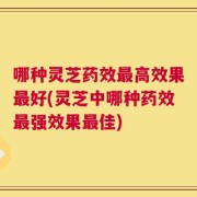 哪种灵芝药效最高效果最好(灵芝中哪种药效最强效果最佳)