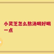 小灵芝怎么熬汤喝好喝一点