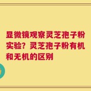 显微镜观察灵芝孢子粉实验？灵芝孢子粉有机和无机的区别