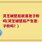 灵芝破壁后就是孢子粉吗(灵芝破壁后产生孢子粉吗？)