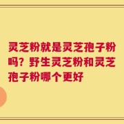 灵芝粉就是灵芝孢子粉吗？野生灵芝粉和灵芝孢子粉哪个更好