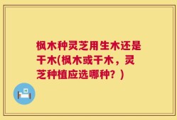枫木种灵芝用生木还是干木(枫木或干木，灵芝种植应选哪种？)
