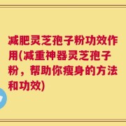 减肥灵芝孢子粉功效作用(减重神器灵芝孢子粉，帮助你瘦身的方法和功效)