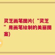 灵芝画笔图片(“灵芝”用画笔绘制的美丽图案)