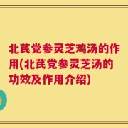 北芪党参灵芝鸡汤的作用(北芪党参灵芝汤的功效及作用介绍)