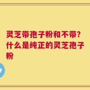 灵芝带孢子粉和不带？什么是纯正的灵芝孢子粉