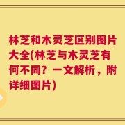 林芝和木灵芝区别图片大全(林芝与木灵芝有何不同？一文解析，附详细图片)