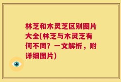 林芝和木灵芝区别图片大全(林芝与木灵芝有何不同？一文解析，附详细图片)