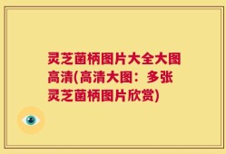 灵芝菌柄图片大全大图高清(高清大图：多张灵芝菌柄图片欣赏)