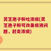 灵芝孢子粉吐浓痰(灵芝孢子粉可改善痰液问题，赶走浓痰)