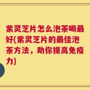 紫灵芝片怎么泡茶喝最好(紫灵芝片的最佳泡茶方法，助你提高免疫力)