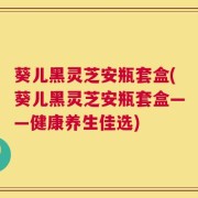 葵儿黑灵芝安瓶套盒(葵儿黑灵芝安瓶套盒——健康养生佳选)