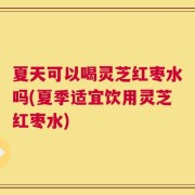 夏天可以喝灵芝红枣水吗(夏季适宜饮用灵芝红枣水)