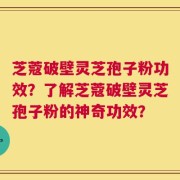 芝蔻破壁灵芝孢子粉功效？了解芝蔻破壁灵芝孢子粉的神奇功效？