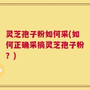 灵芝孢子粉如何采(如何正确采摘灵芝孢子粉？)