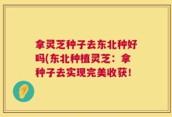 拿灵芝种子去东北种好吗(东北种植灵芝：拿种子去实现完美收获！