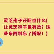灵芝孢子还配点什么(让灵芝孢子更有效？这些东西别忘了搭配！)