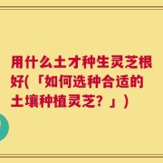 用什么土才种生灵芝根好(「如何选种合适的土壤种植灵芝？」)