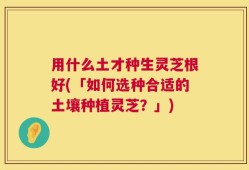用什么土才种生灵芝根好(「如何选种合适的土壤种植灵芝？」)