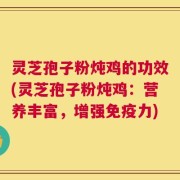 灵芝孢子粉炖鸡的功效(灵芝孢子粉炖鸡：营养丰富，增强免疫力)