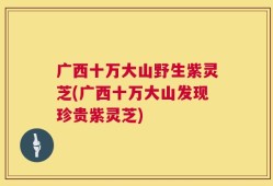 广西十万大山野生紫灵芝(广西十万大山发现珍贵紫灵芝)