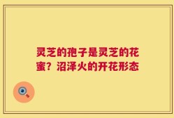 灵芝的孢子是灵芝的花蜜？沼泽火的开花形态