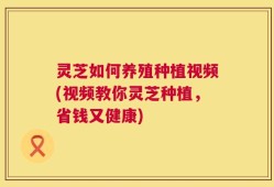 灵芝如何养殖种植视频(视频教你灵芝种植，省钱又健康)