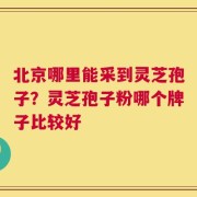 北京哪里能采到灵芝孢子？灵芝孢子粉哪个牌子比较好