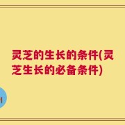 灵芝的生长的条件(灵芝生长的必备条件)