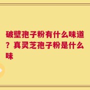 破壁孢子粉有什么味道？真灵芝孢子粉是什么味