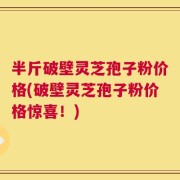 半斤破壁灵芝孢子粉价格(破壁灵芝孢子粉价格惊喜！)