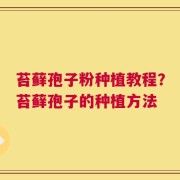 苔藓孢子粉种植教程？苔藓孢子的种植方法