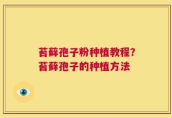 苔藓孢子粉种植教程？苔藓孢子的种植方法