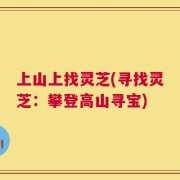 上山上找灵芝(寻找灵芝：攀登高山寻宝)