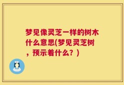 梦见像灵芝一样的树木什么意思(梦见灵芝树，预示着什么？)