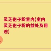 灵芝孢子粉室内(室内灵芝孢子粉的益处及用途)