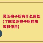 灵芝孢子粉有什么用处(了解灵芝孢子粉的功效和作用)