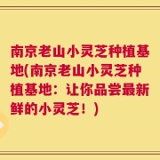 南京老山小灵芝种植基地(南京老山小灵芝种植基地：让你品尝最新鲜的小灵芝！)