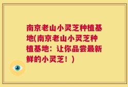 南京老山小灵芝种植基地(南京老山小灵芝种植基地：让你品尝最新鲜的小灵芝！)
