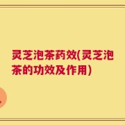 灵芝泡茶药效(灵芝泡茶的功效及作用)