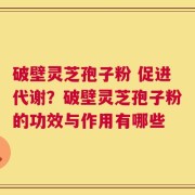 破壁灵芝孢子粉 促进代谢？破壁灵芝孢子粉的功效与作用有哪些
